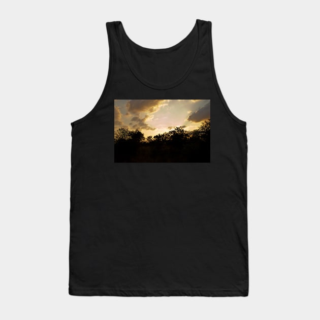 African Sunset #2 Tank Top by johnwebbstock